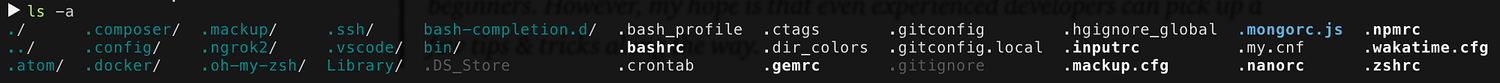   Sample terminal output showing various dotfiles.  