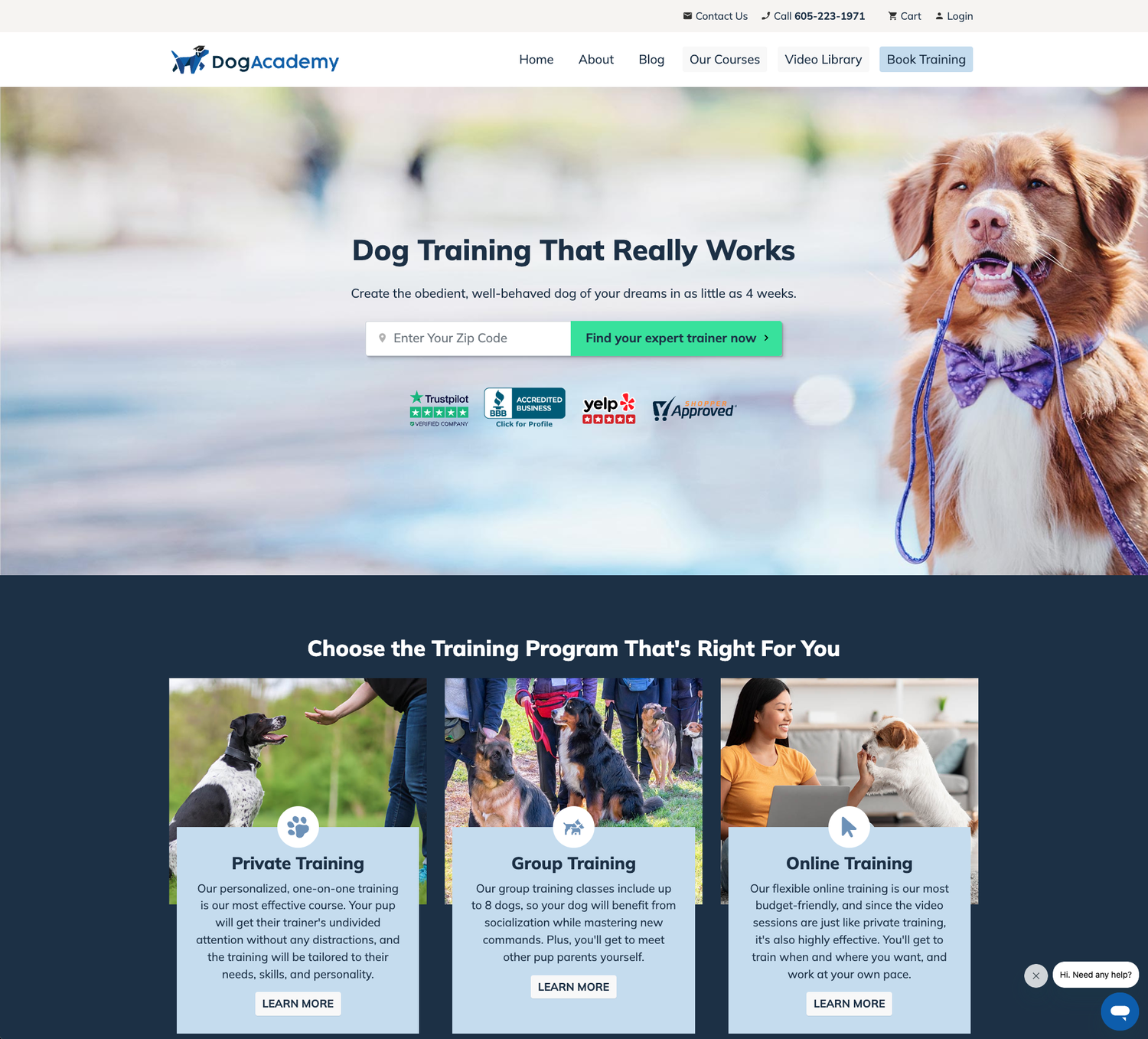 Dog Academy screenshot