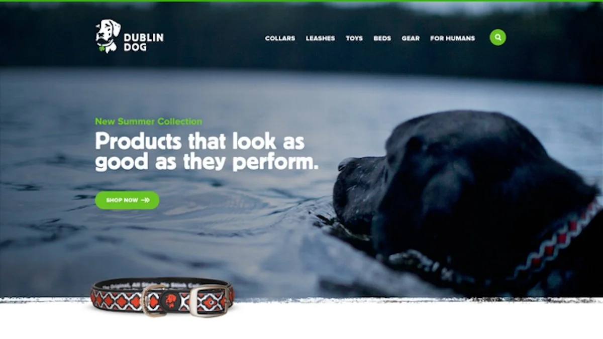 Dublin Dog screenshot